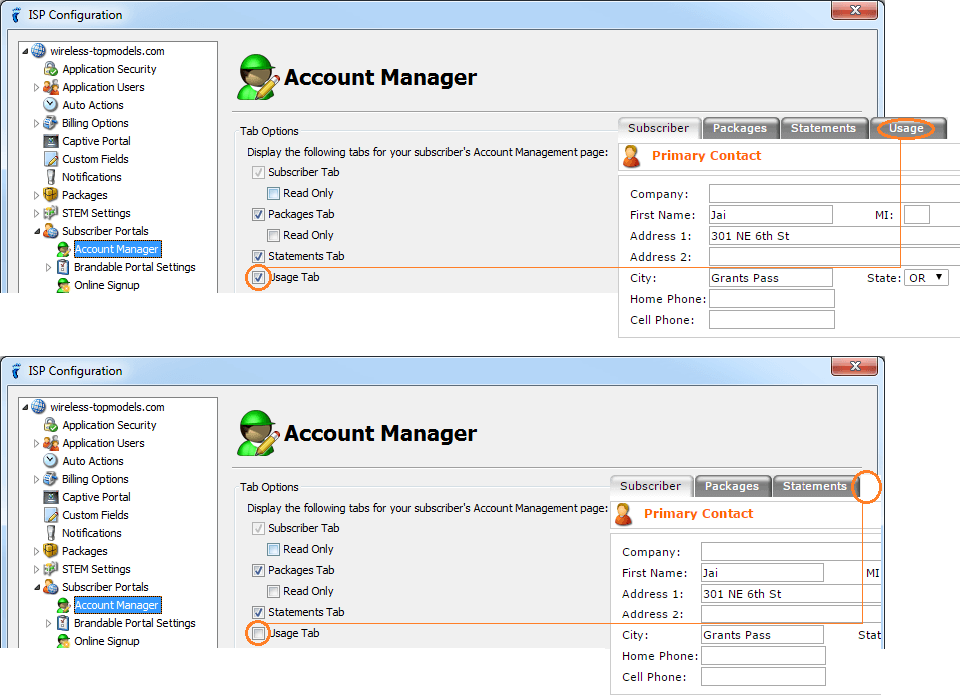 isp config - subscriber portals - account manager - usage tab
